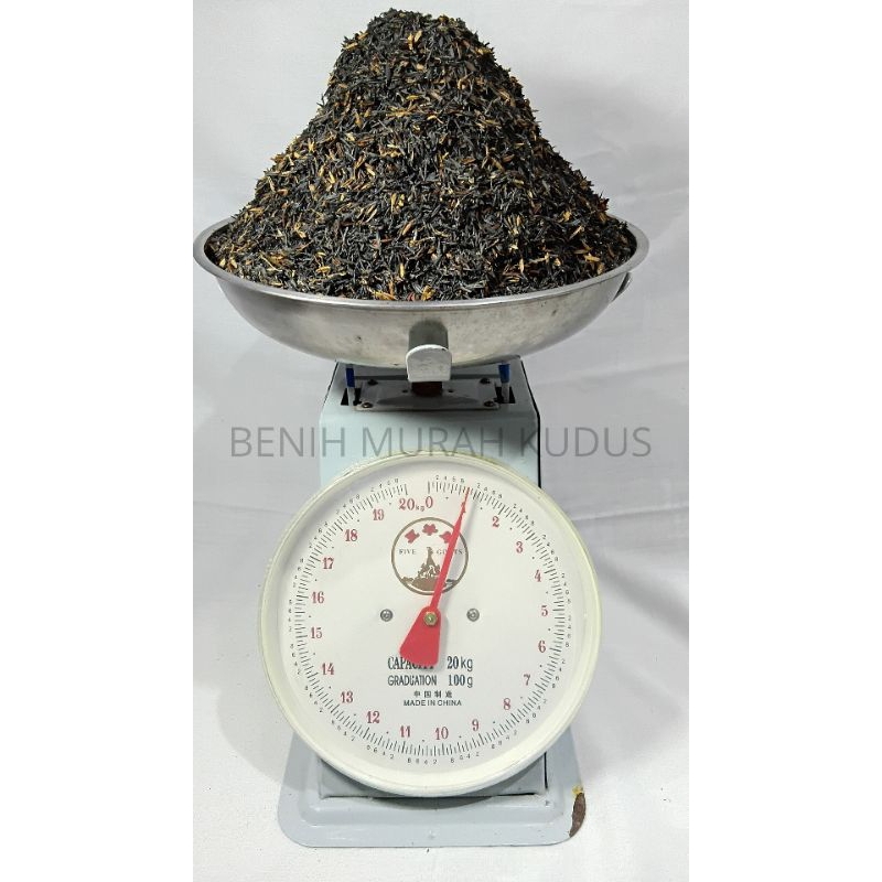 Media Tanam Sekam Bakar Sekam Bakar Premium Sekam Murni 1 kg