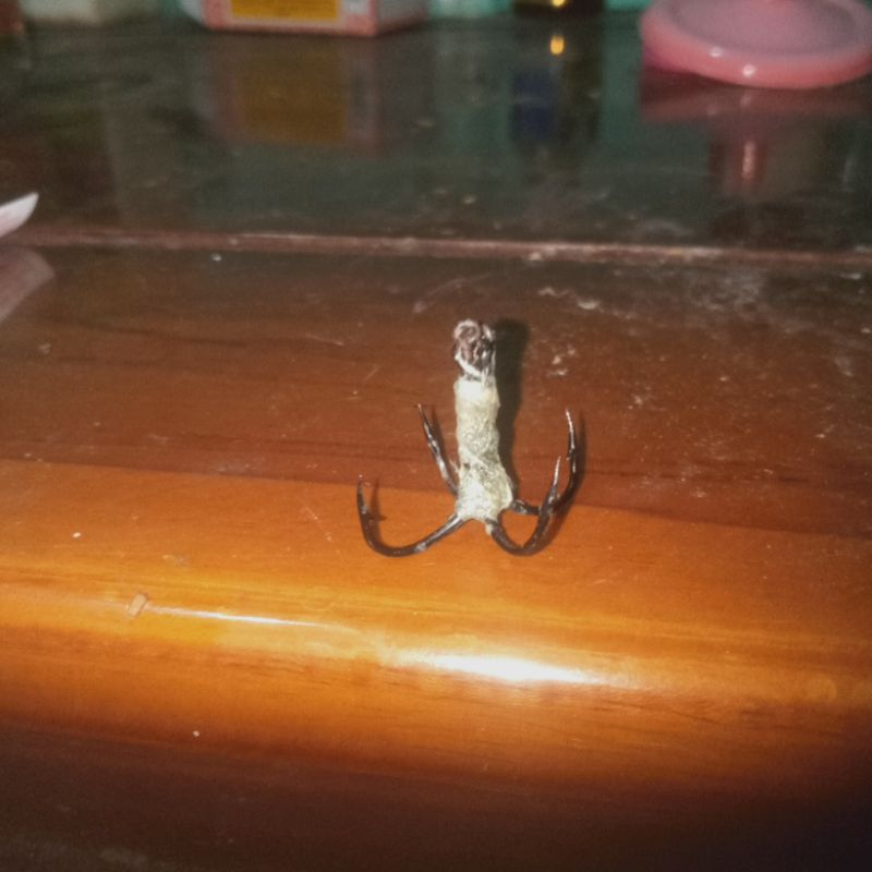 mata kail garong cabang 4 untuk ikan blanak,kiper,baronang