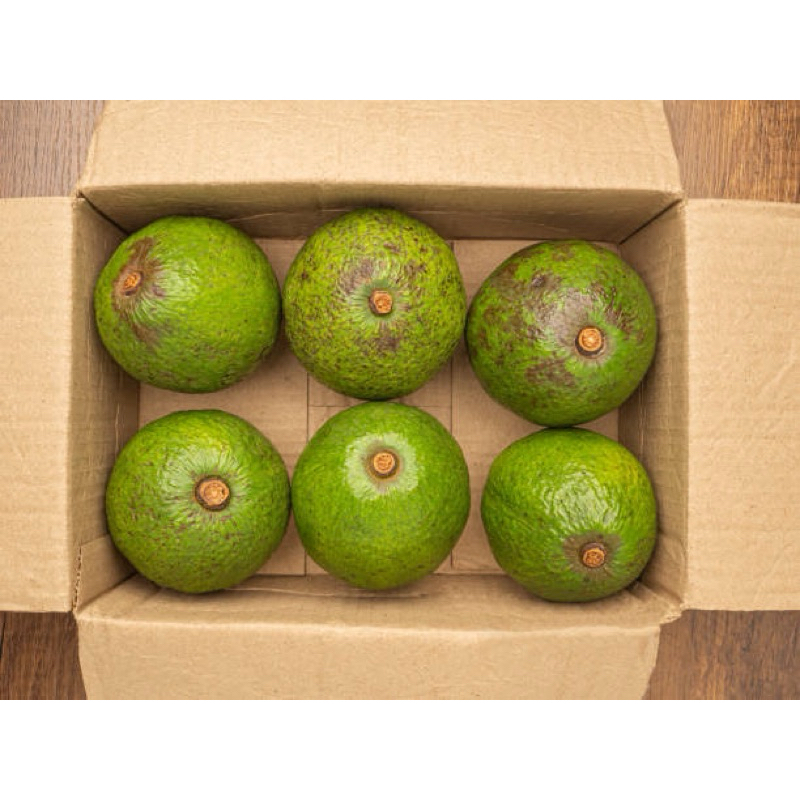 

ALPUKAT MENTEGA 1Kg isi 3