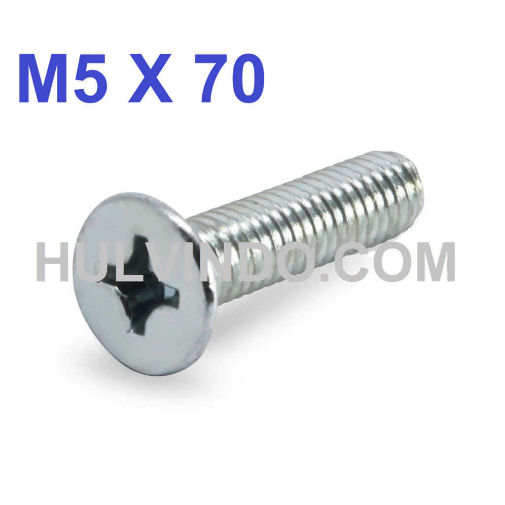 BAUT JF FLAT HEAD M5 X 70