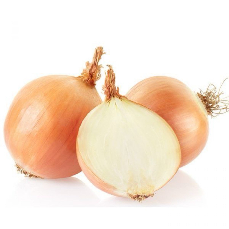 

bawang bombay sayuran fresh