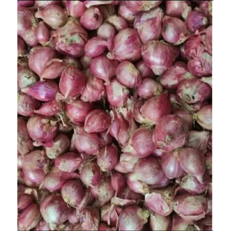 

bawang merah kering 1kg