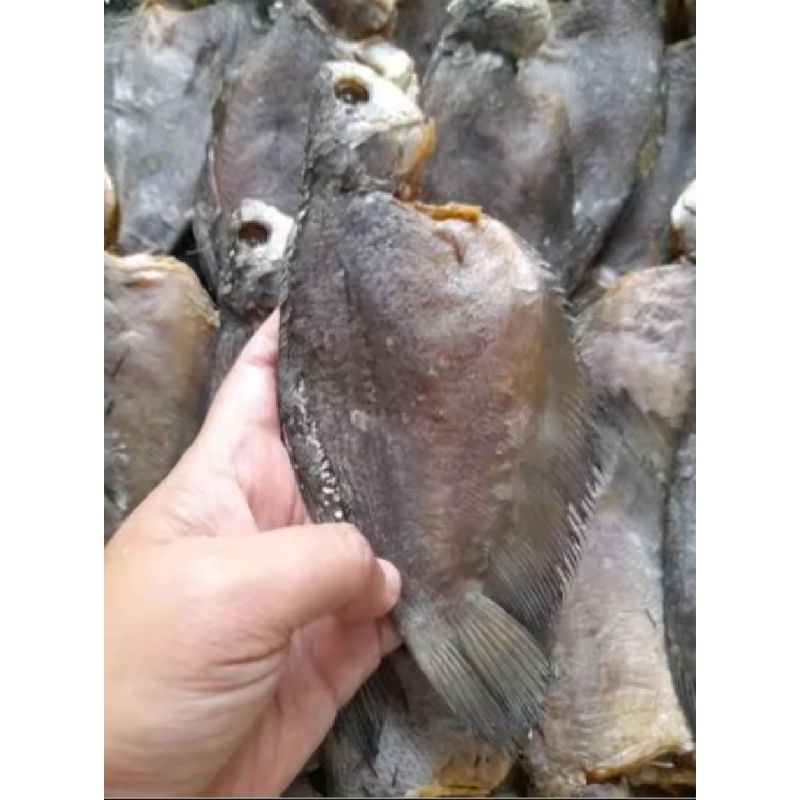 

ikan asin sepat siam super murah 1 kg