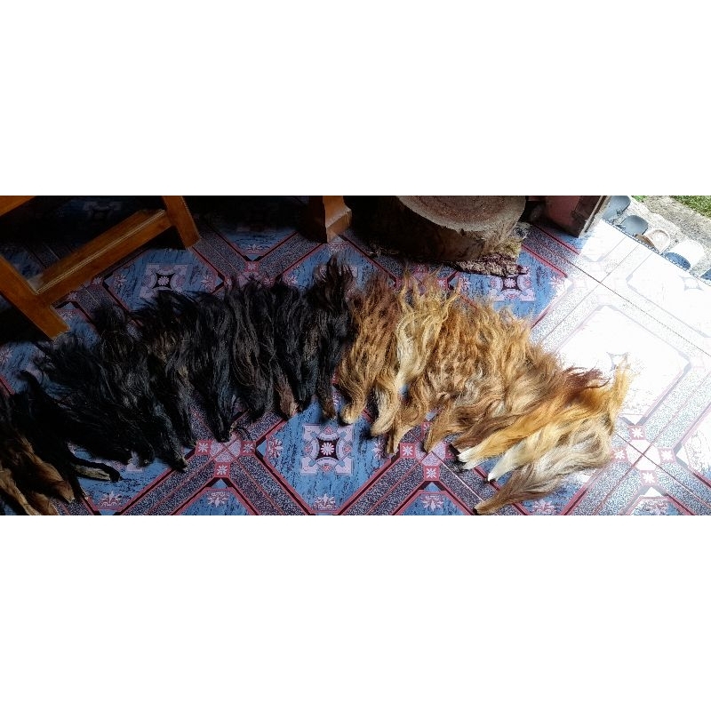 Gubat sapi .untuk rambut barongan/dll .