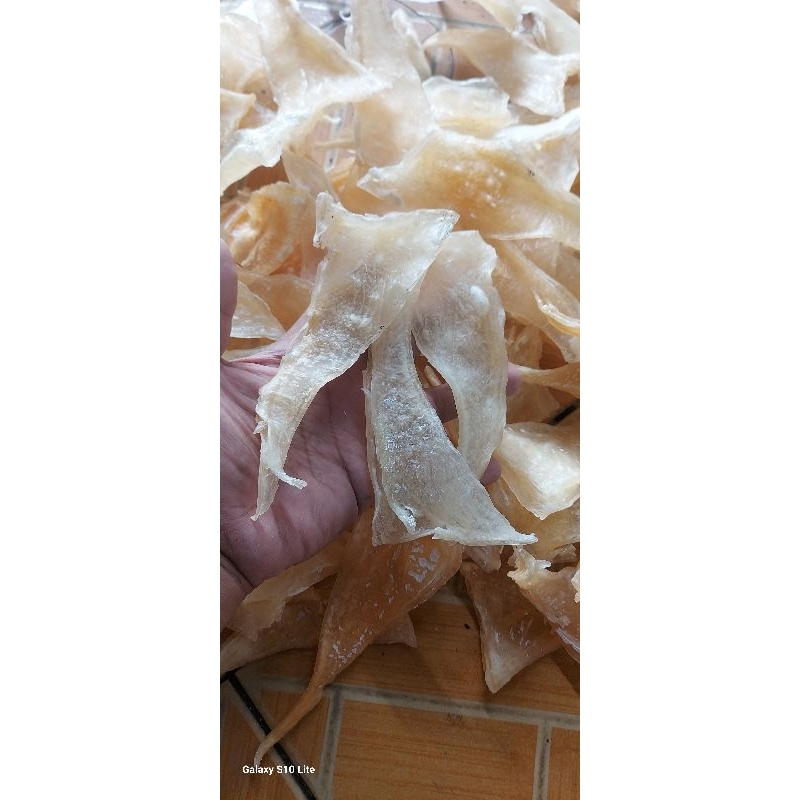 

moncong bibir ikan utuh kecil 100gram