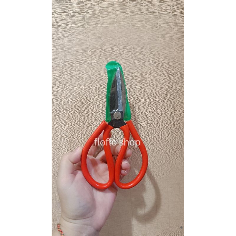 

gunting kain kodok langcip popeye