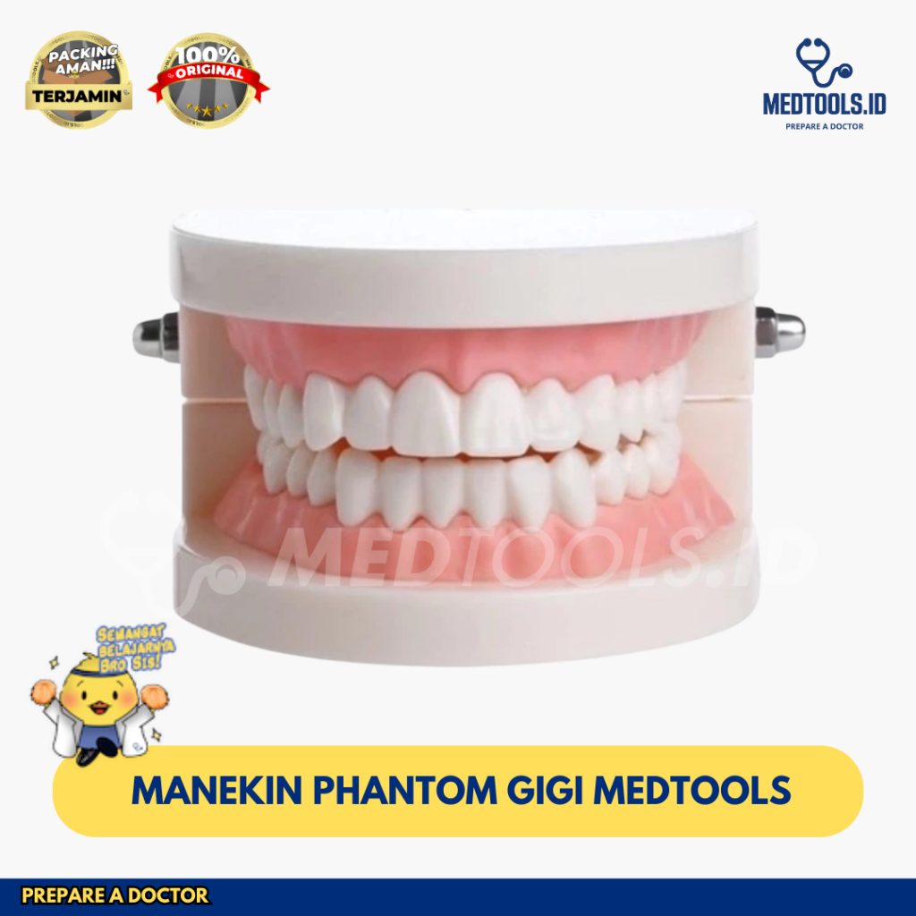 Manekin Phantom Gigi Medtools