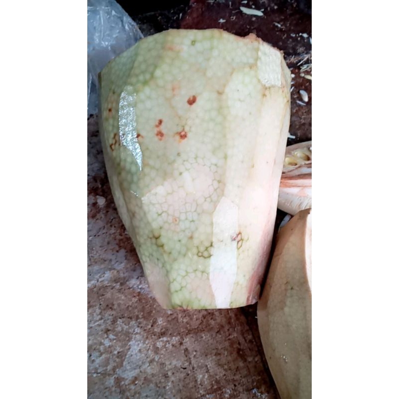 

Nangka Muda Kupas (1 Buah )
