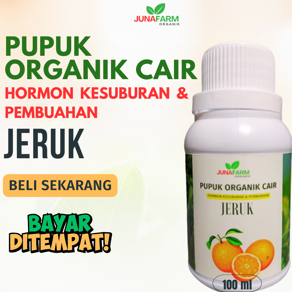 pupuk jeruk/pupuk untuk jeruk/pupuk tanaman jeruk/pupuk organik jeruk