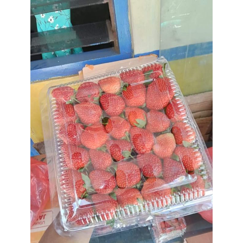 

STRAWBERRY FRESH 1KG
