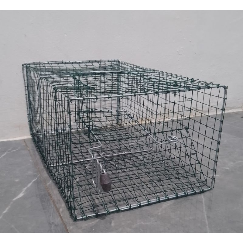 PERANGKAP TIKUS MASAL/ jebakan kawat tikus