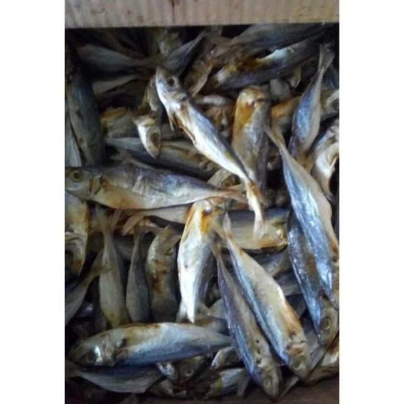 

ika asin klotok