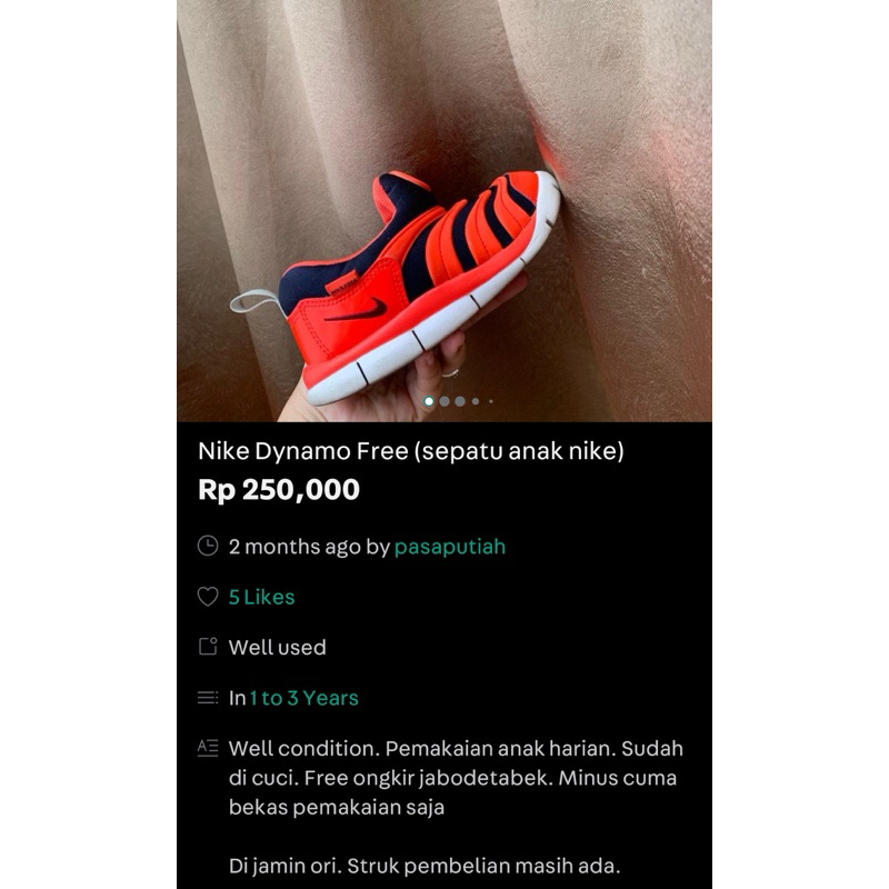Nike Dynamo Free Sepatu Anak