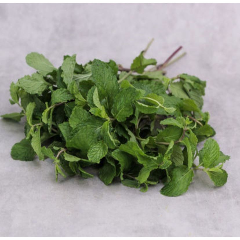 

Daun Mint 1 pack Fresh Segar Instan Surabaya