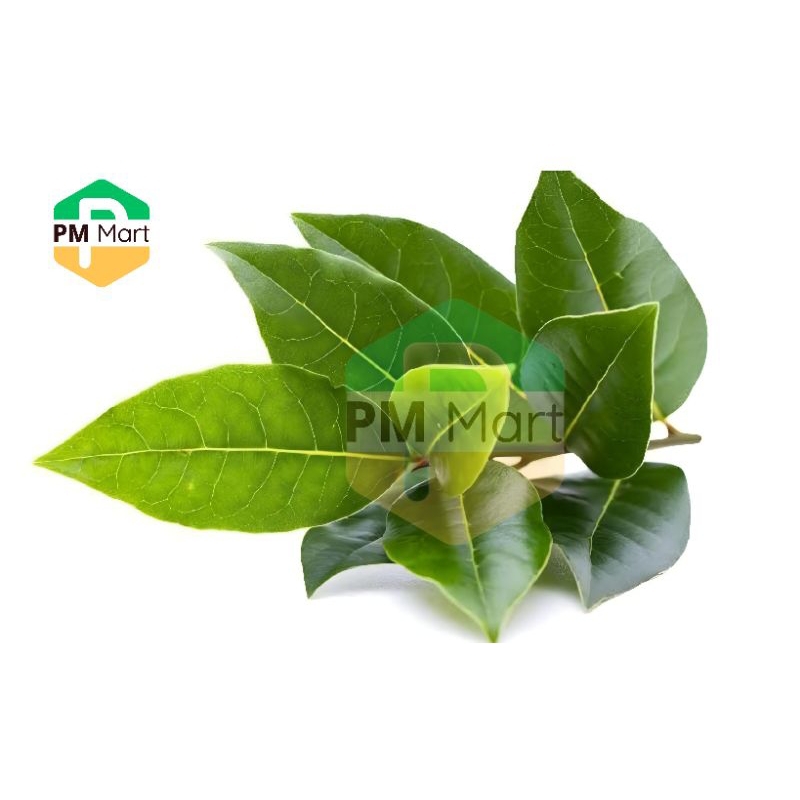 

Daun Salam Segar 100 Gram