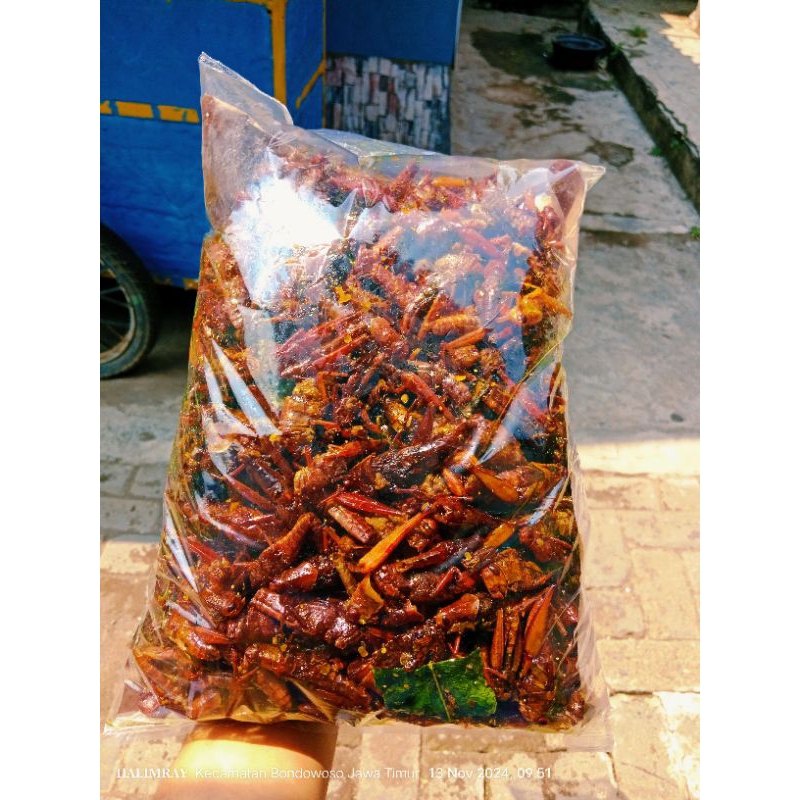 

BELALANG KAYU KEMASAN 1Kg