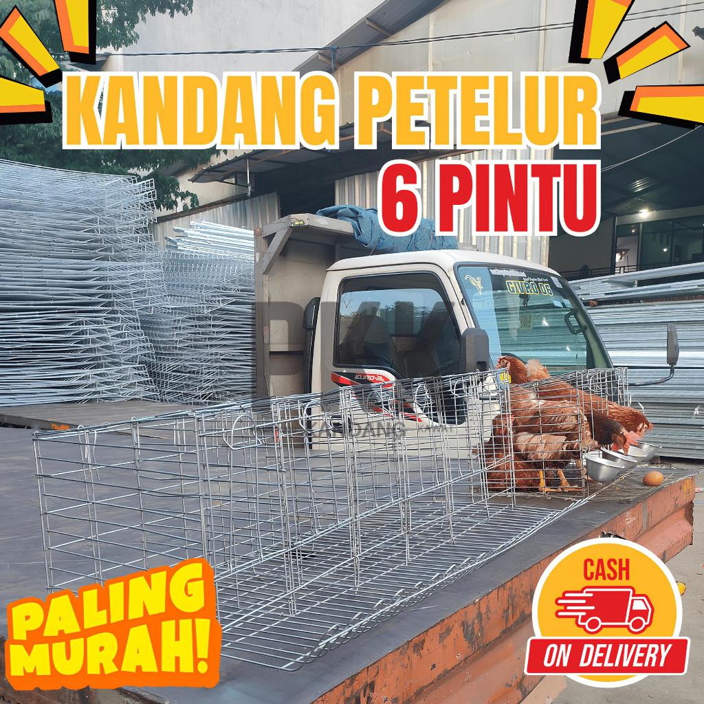 Kandang Ayam Petelur Temurah Galvanis Cocok Untuk Usaha