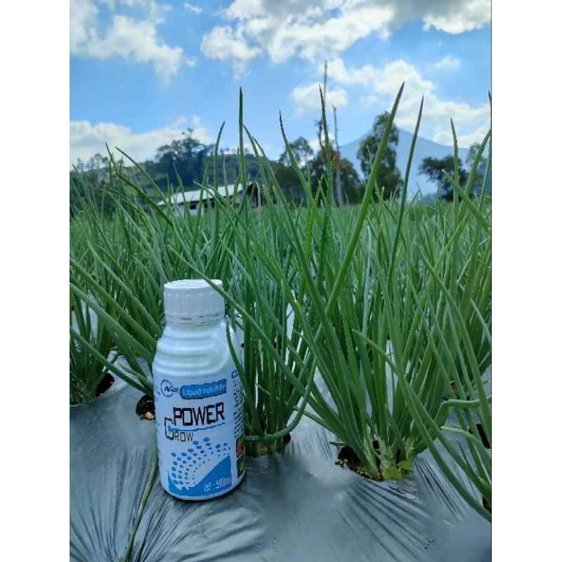 power grow 500ml zpt multivitamin tanaman