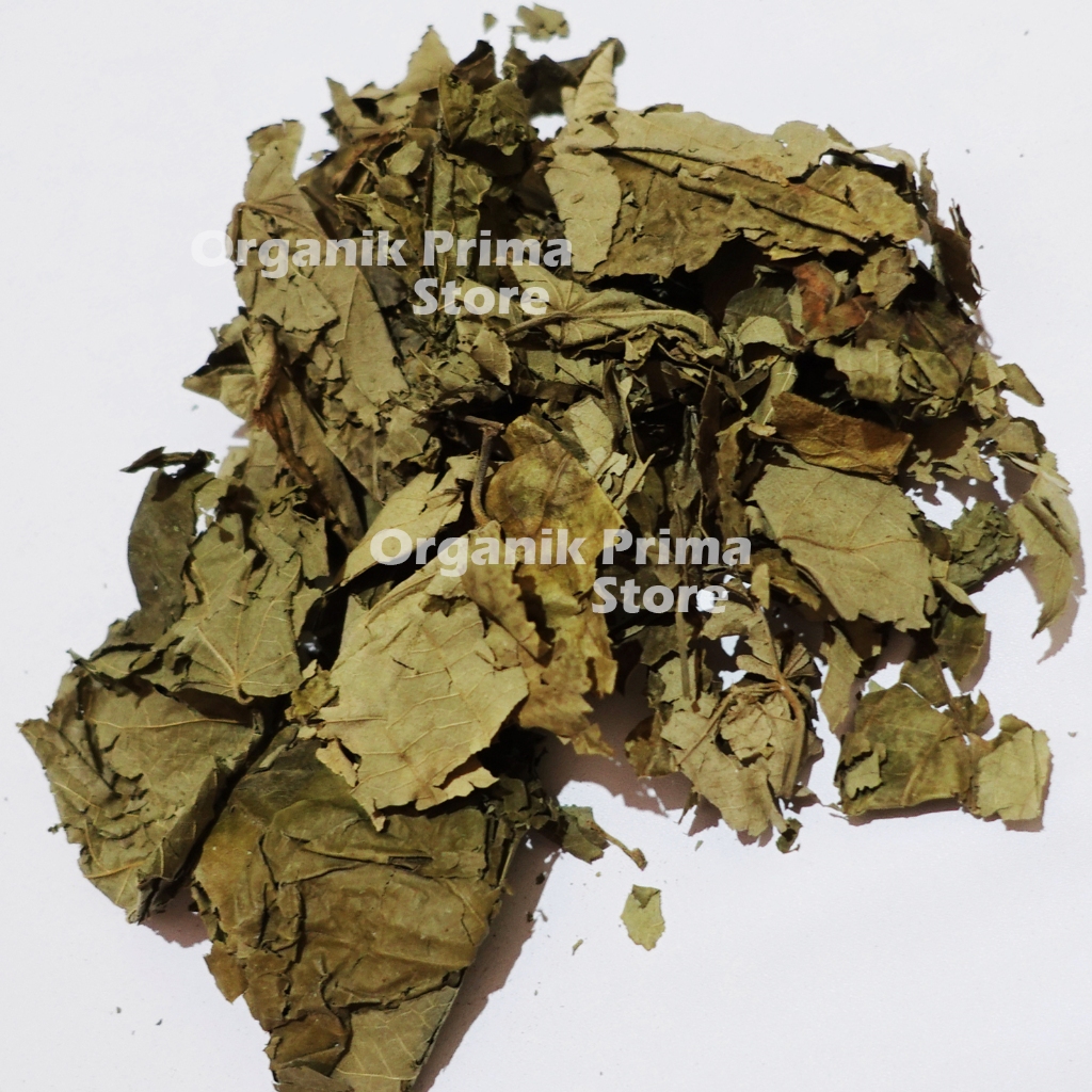 

Daun Jati Belanda 1kg Kering Bersih dan Organik