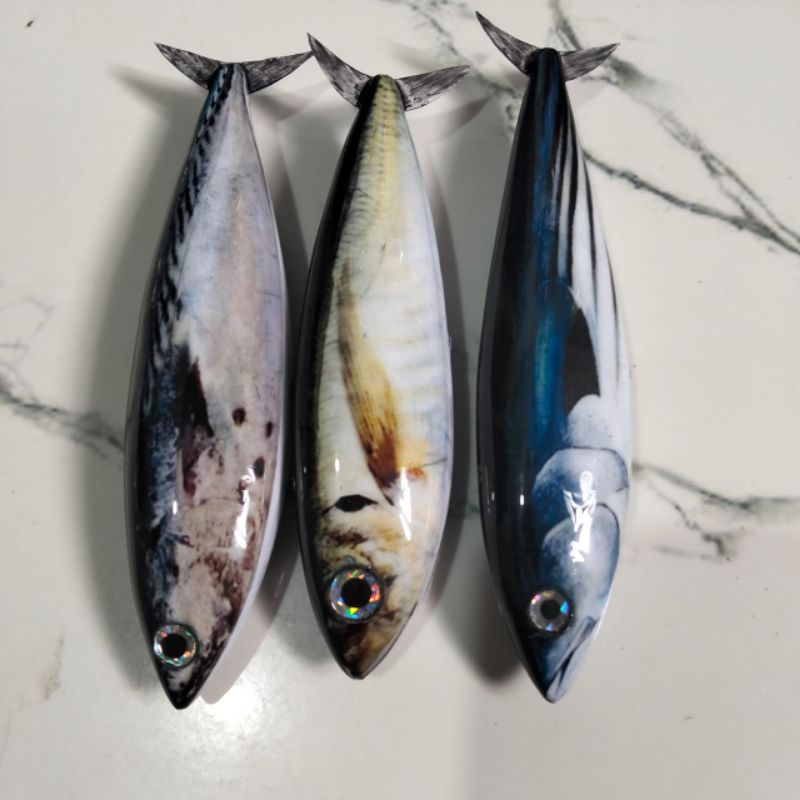 Umpan ikan tuna teknik Troling/tonda