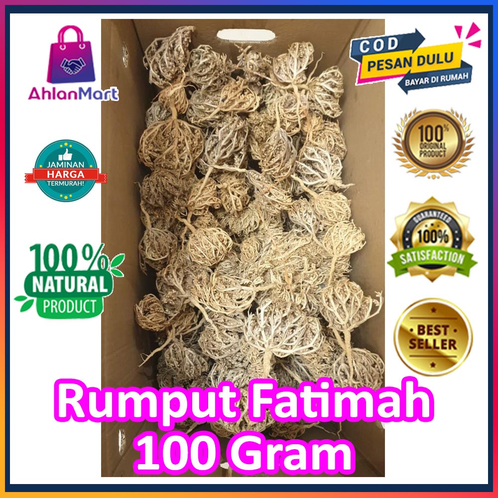 

Rumput Fatimah fatima kaff maryam 100 gram