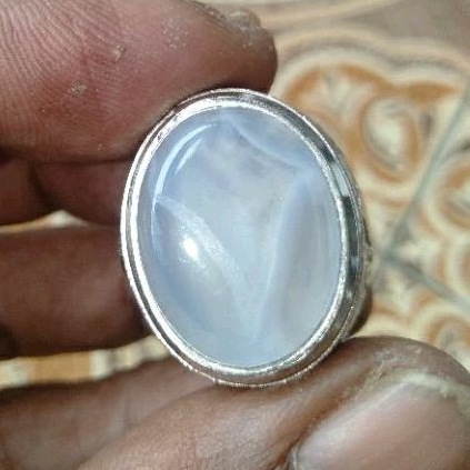 Batu Cempaka/Anggure Putih Kantong Semar Karang Nunggal Asli Semeru Lumajang