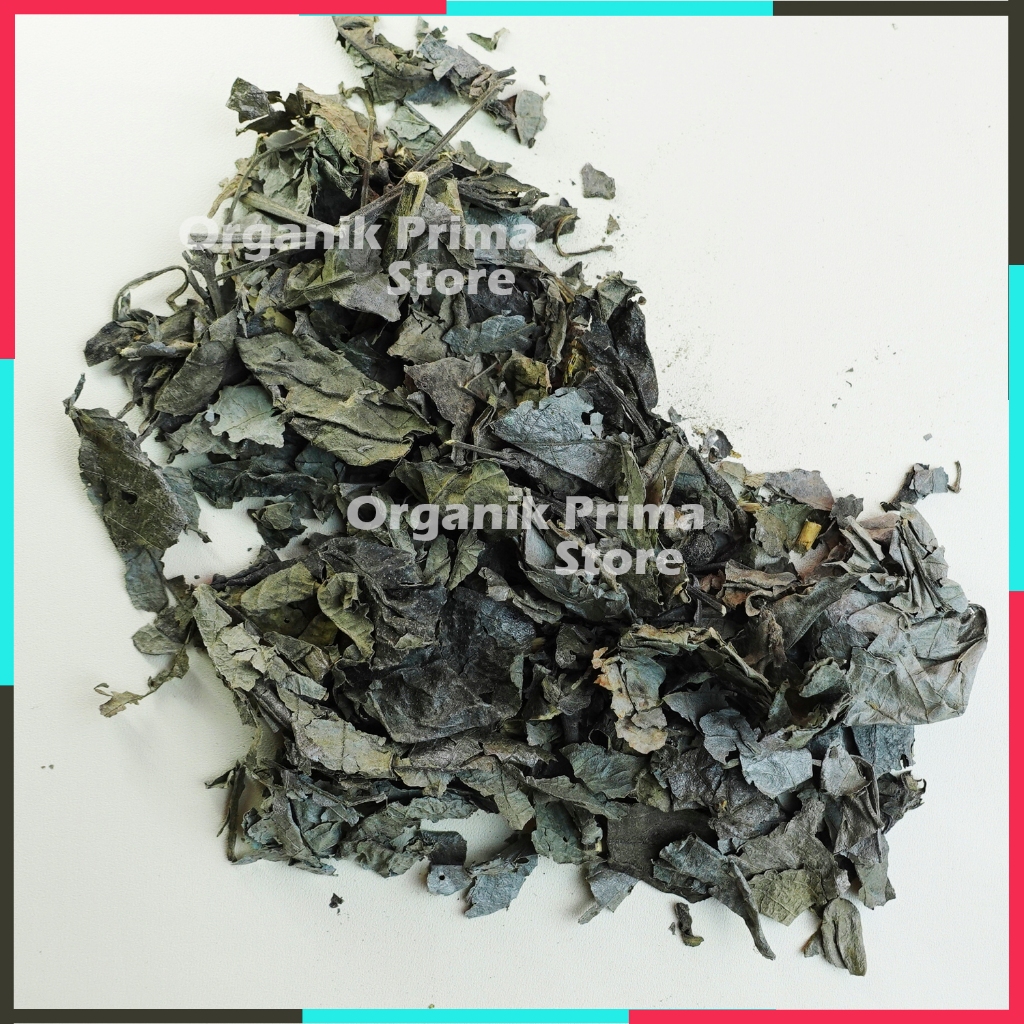 

Daun Keji Beling Kering 1kg Gempur Batu Asli Bersih dan Organik