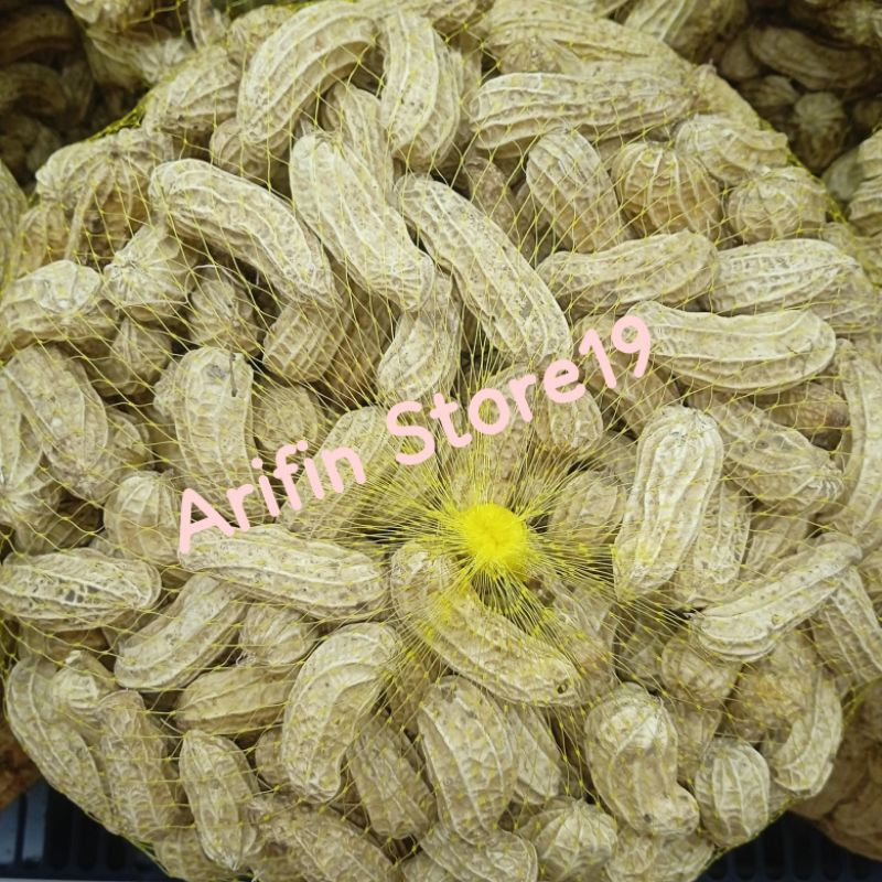 

KACANG TANAH MENTAH 1,2KG