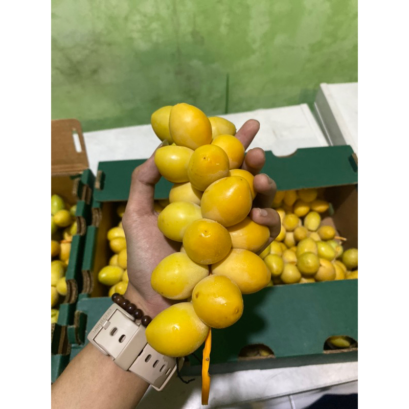 

KURMA MUDA BARKHEE MANIS PREMIUM