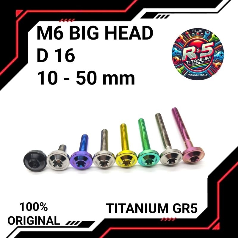 BAUT M6 BIG HEAD D 16 TITANIUM GR5 (DRAT 10)