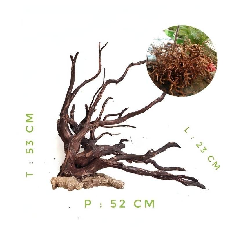 AKAR RASAMALA HIASAN AQUARIUM AQUASCAPE/KAYU RASAMALA AQUASCAPE SIZE L