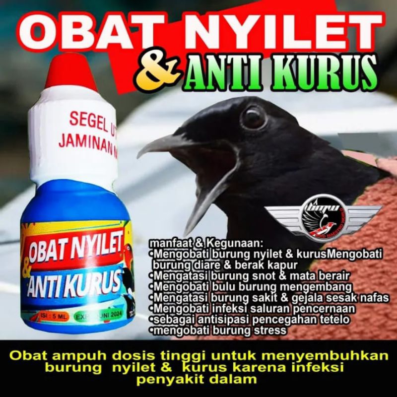 Obat Nyilet Burung Anti kurus