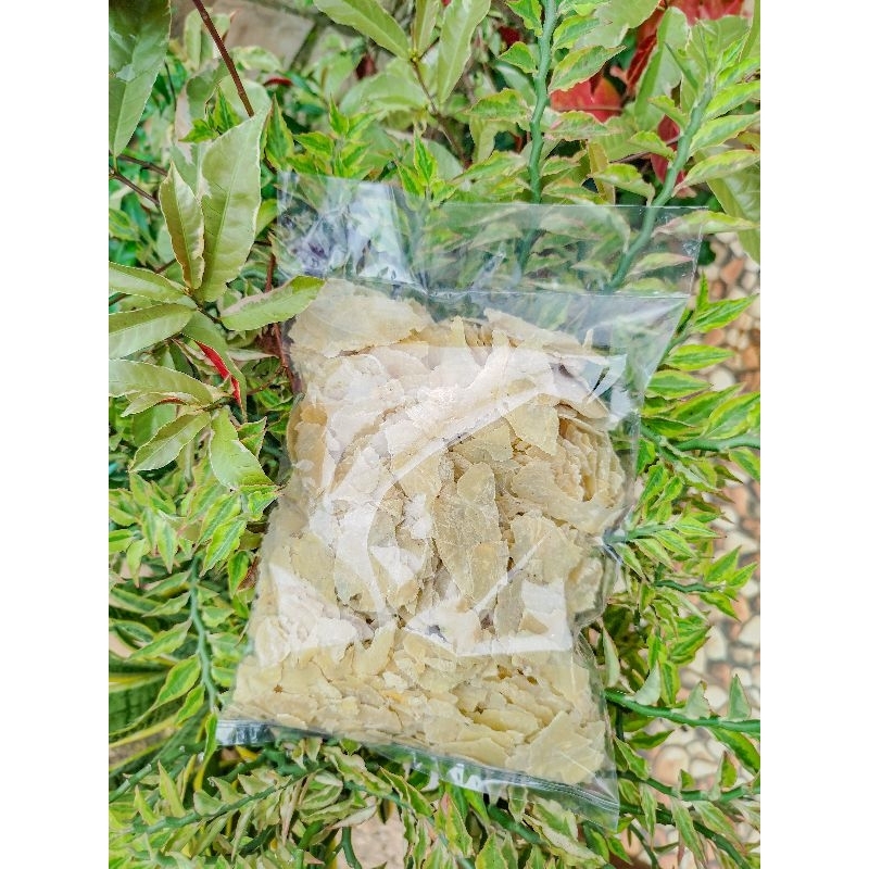 

EMPING MELINJO ASLI LIMPUNG PECAHAN SIAP GORENG 500GRM