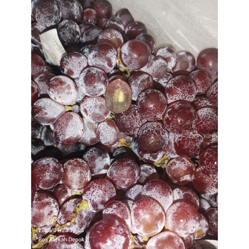 

Anggur Red Globe 1kg Bos Berkah Depok