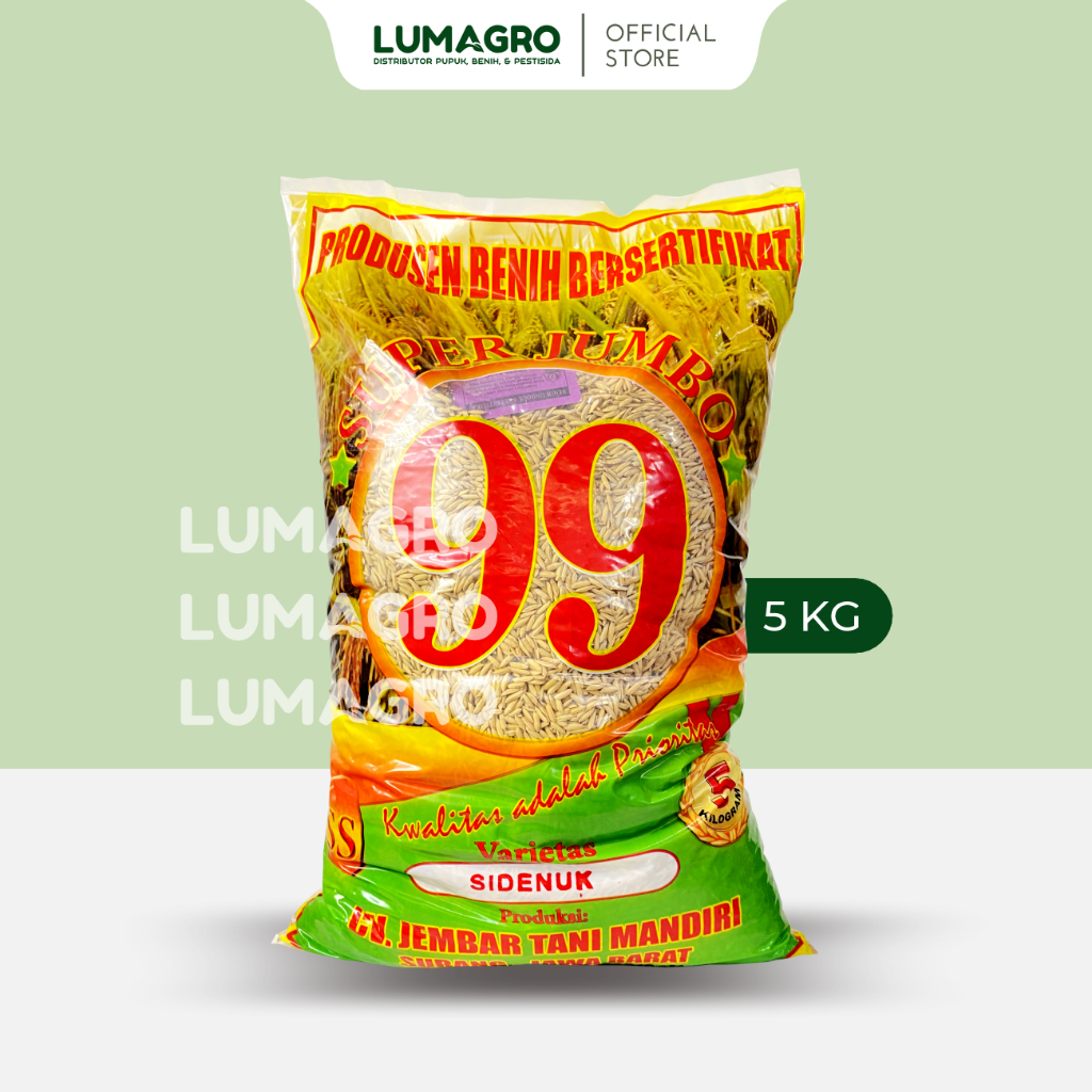 Benih Padi Sidenuk Subang 99 5kg Bibit Pari Super Jumbo Tahan Wereng dan Hawar Daun