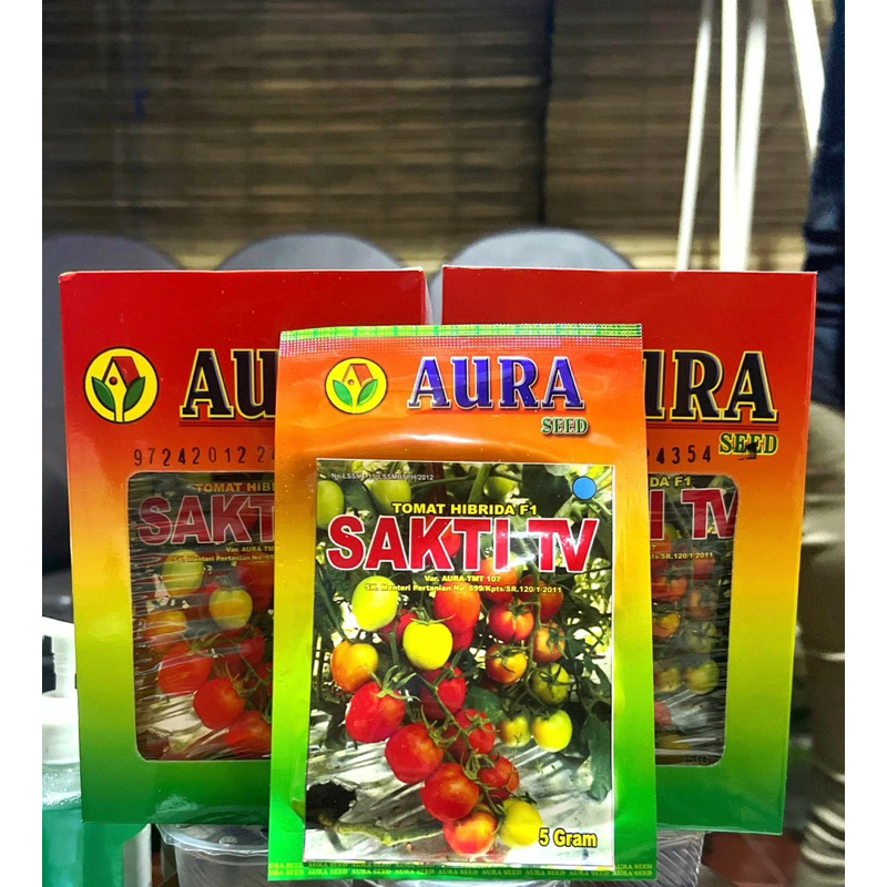 BENIH TOMAT SAKTI TV ( TAHAN VIRUS ) F1 AURA SEED