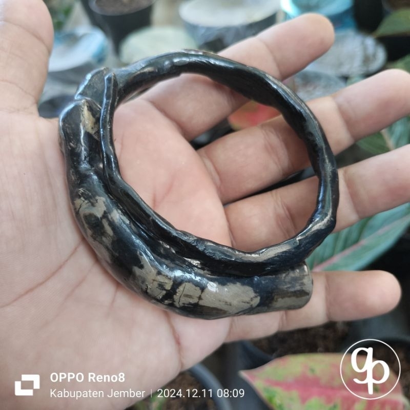 Gelang akar bahar jumbo gelang akar bahar hitam