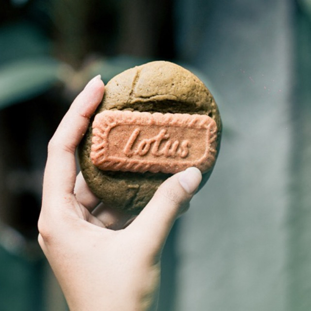 

Soft Cookies | Matcha Lotus Biscoff