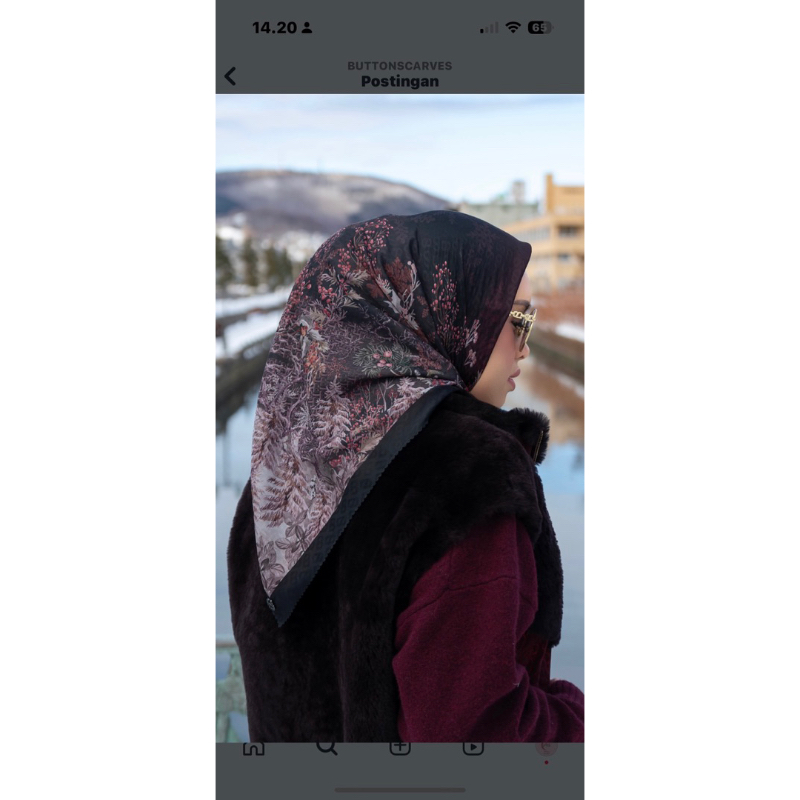 HOLIDAY SERIES 2 BUTTONSCARVES ladybug