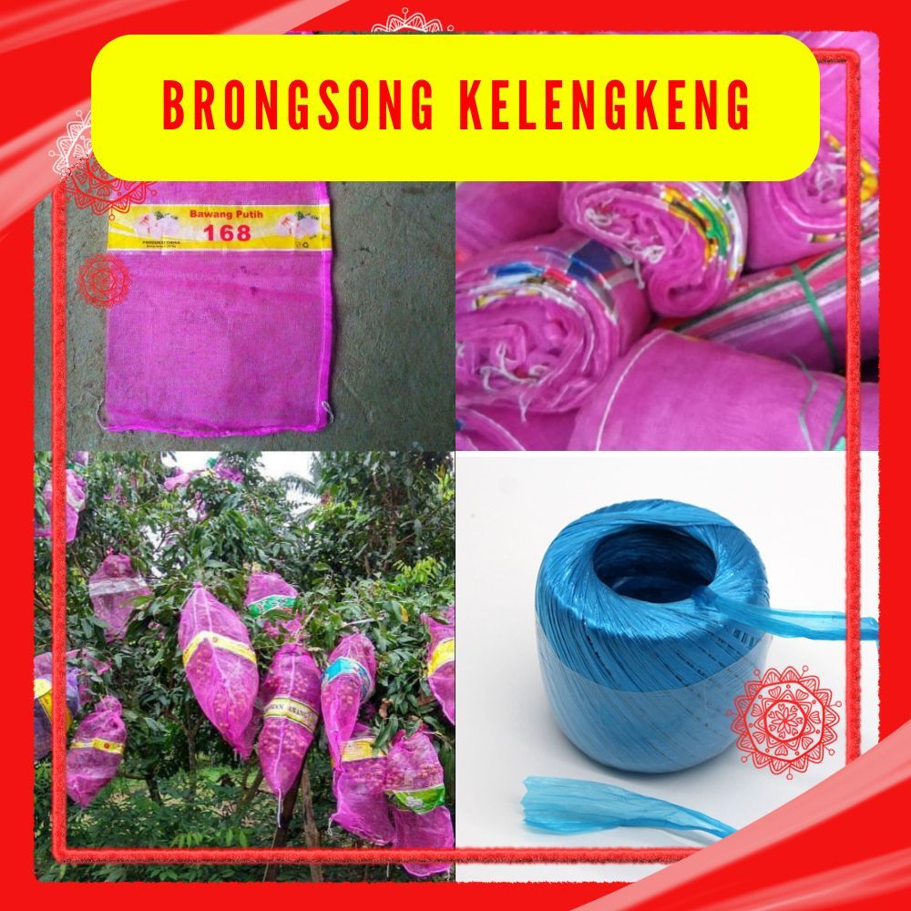 TERLARIS. Isi 10 Brongsong Kelengkeng Bekas, Pembungkus Buah Kelengkeng + Tali