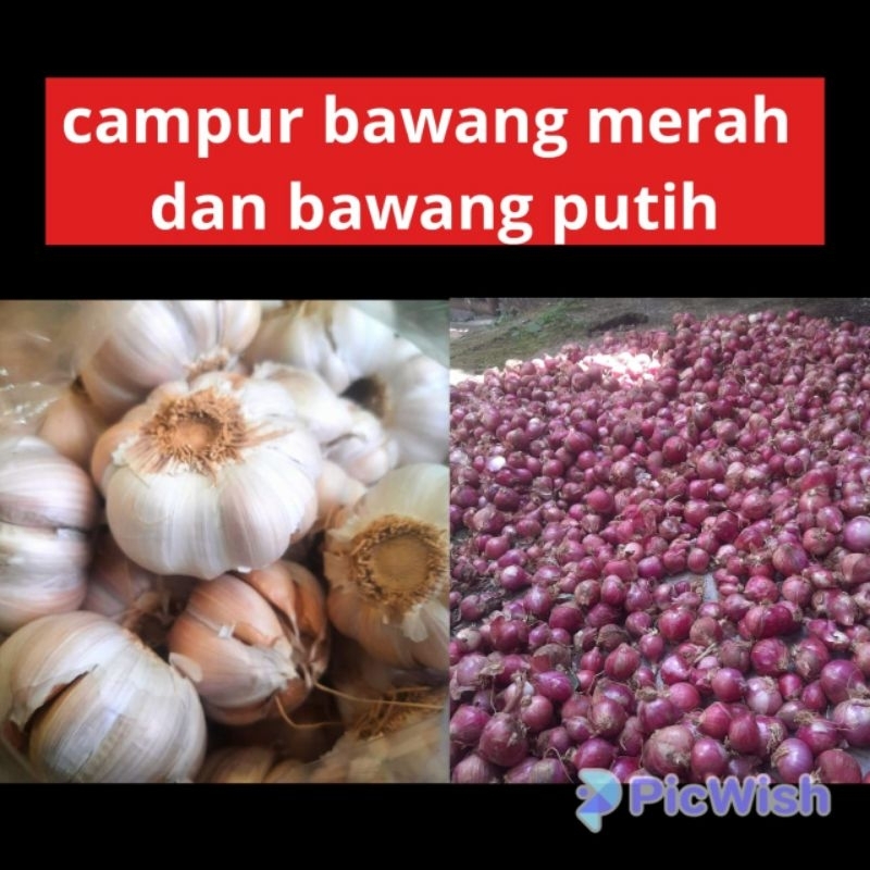 

campur bawang merah dan putih 500 gr