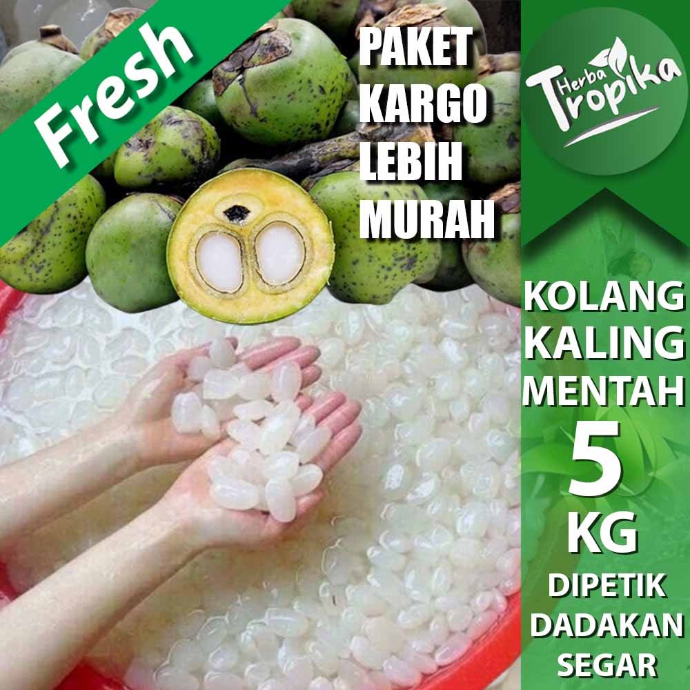 

Paket kargo Kolang Kaling Fresh 5 kg toko herba tropika