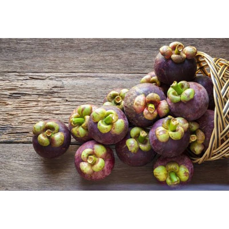 

Buah manggis segar pontianak 500gram