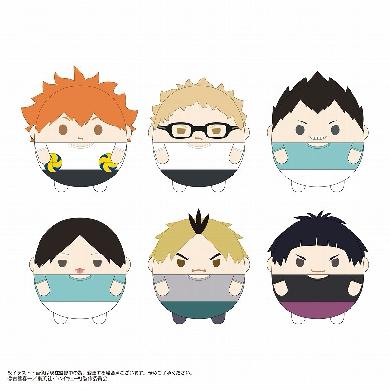 BOOKED Fuwakororin Haikyuu Vol 9