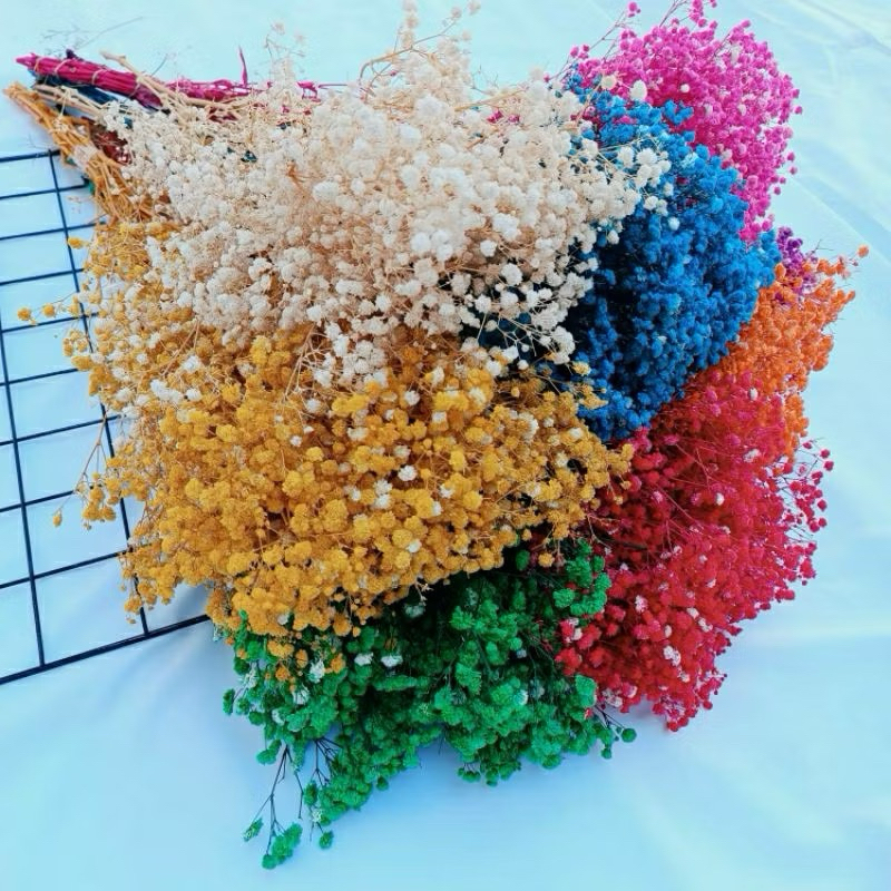 50gr BABY BREATH PRESERVED BUNGA BABY BREATH KERING