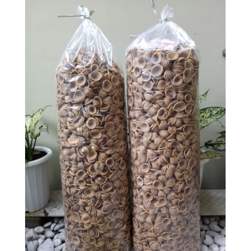 kupingan kuping gajah 1 kg