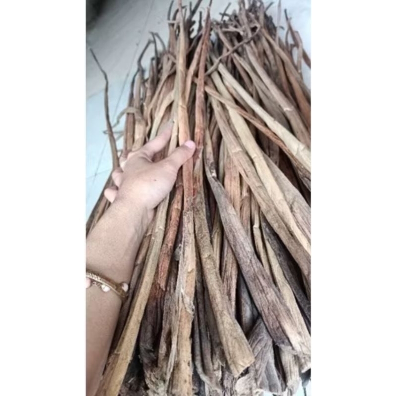 enceng gondok kering