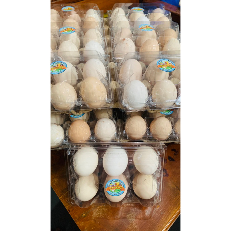 

Telur ayam kampung organik super omega 3 umbaran pakan alami harga per butir