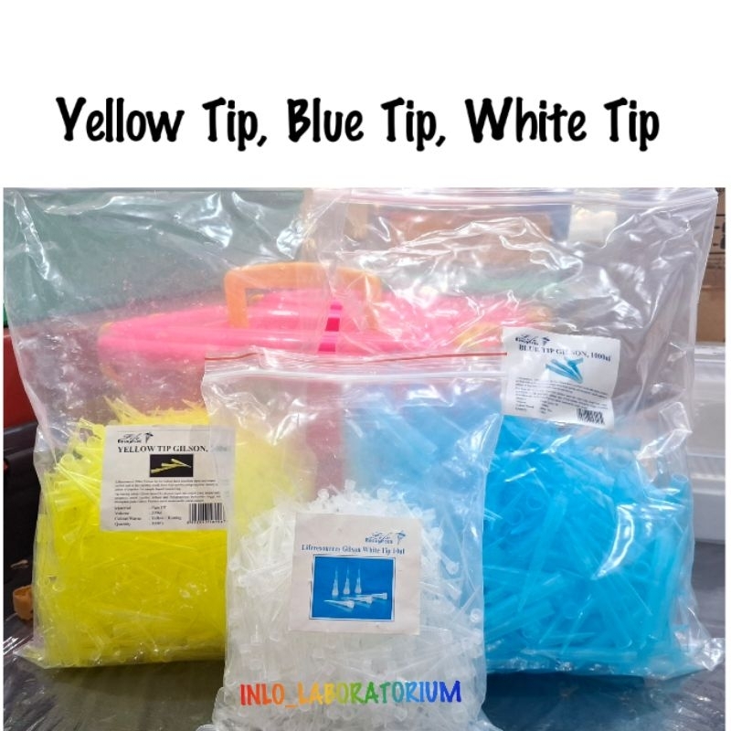 Yellow Tip, Blue Tip, White Tip