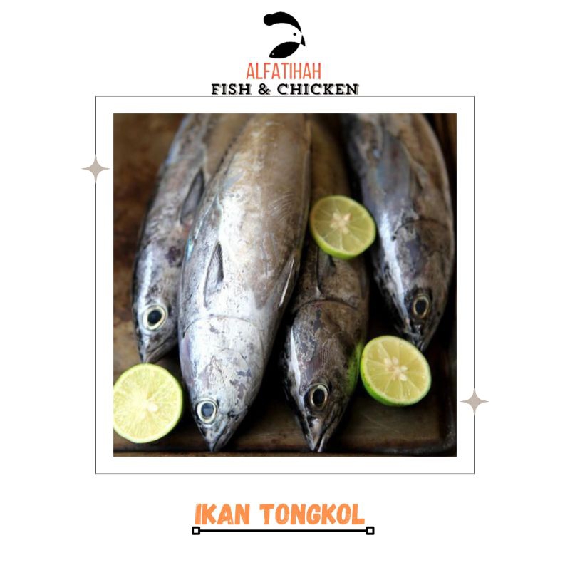 

Ikan Tongkol sedang| 1kg isi 6-7 ekor